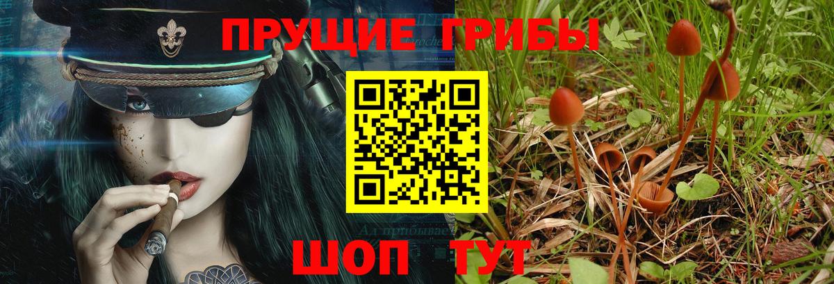 Псилоцибиновые грибы мухоморы  Псилоцибиновые грибы ЛСД  Вход с VPN  Бутурлиновка 