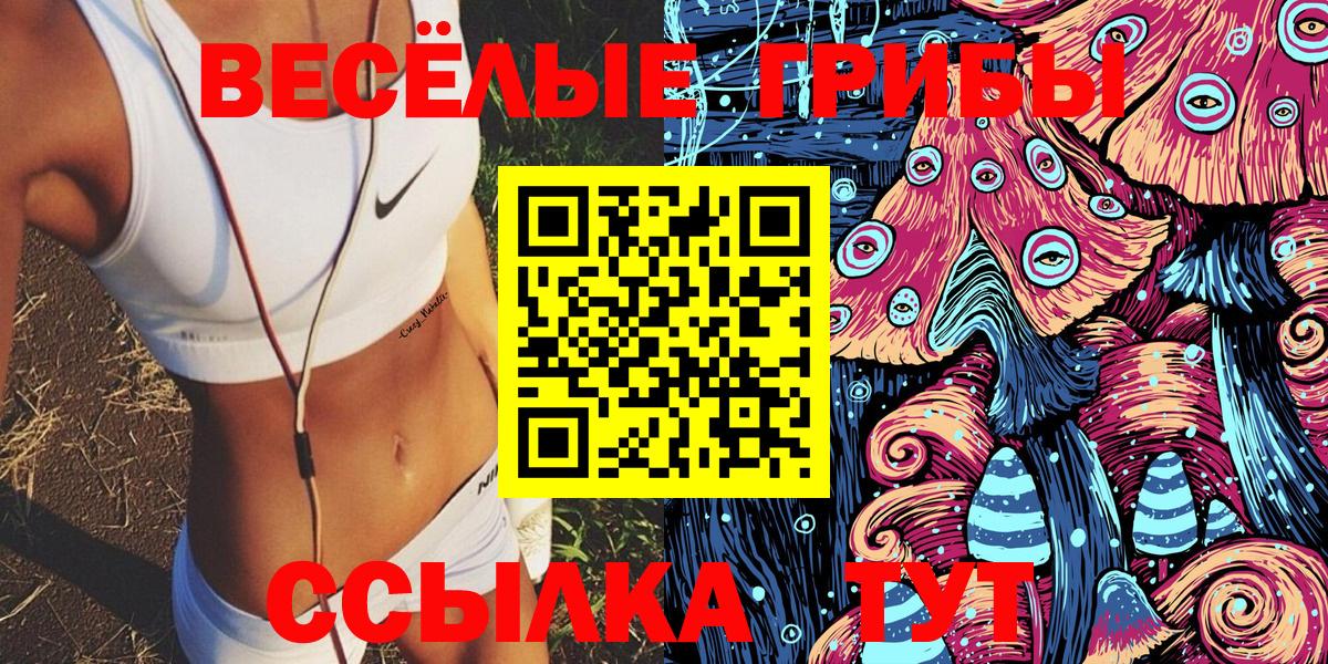 Псилоцибиновые грибы GOLDEN TEACHER Бутурлиновка